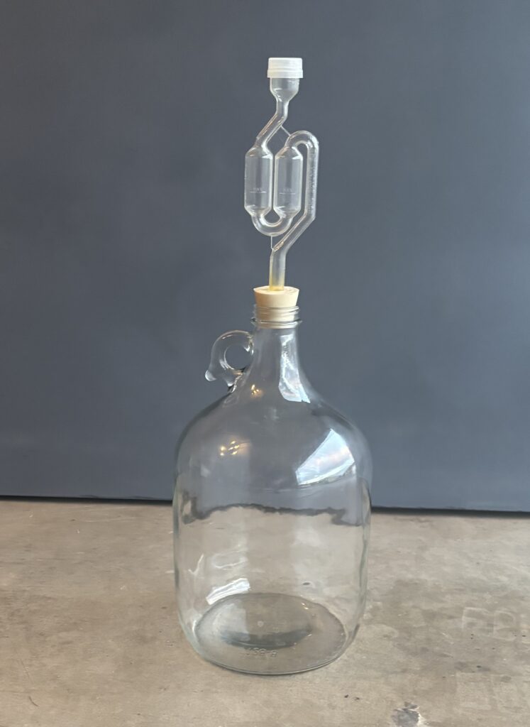One-gallon glass fermentation jug with bung and airlock installed.